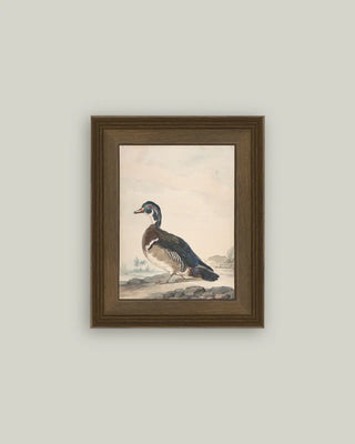 A Duck Framed Wall Art