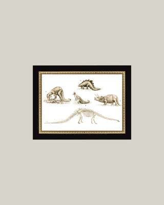 Dinosaur Discoveries Framed Wall Art