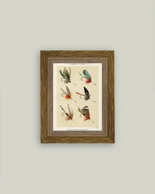 Lake Flies Framed Wall Art