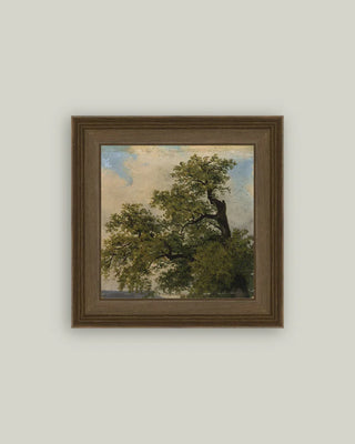 Painted Trees Framed Wall Art