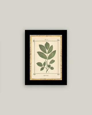 Plant Atlas Framed Wall Art