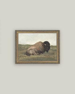 Resting Bison Framed Wall Art