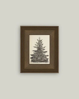 Vintage Pine Tree Framed Wall Art