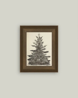 Vintage Pine Tree Framed Wall Art