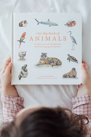 Our Big Book of Animals Board Book