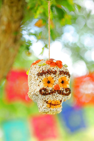 Skull Birdseed Ornament