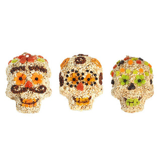 Skull Birdseed Ornament
