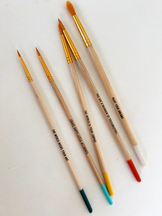 Set of 5 Beginner Paint Brushes