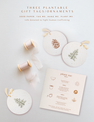 Bows Plantable Seed Gift Tags - Set of 3