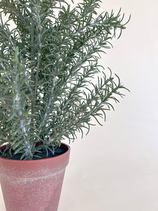 Faux Rosemary Potted Plant *online exclusive*