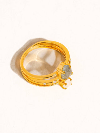 Fern and Frost Ring