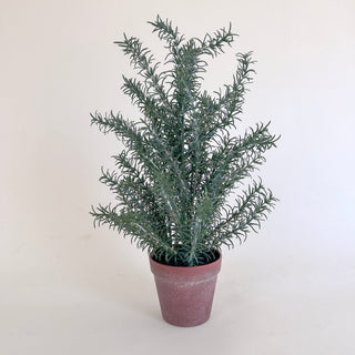 Faux Rosemary Potted Plant *online exclusive*