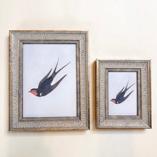 Swallow Boraston Framed Wall Art