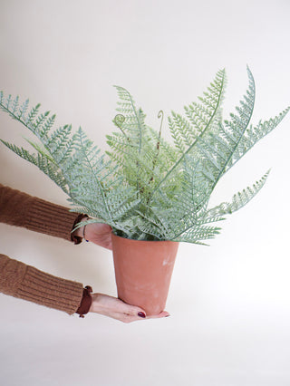 Faux Fern in Terracotta Pot