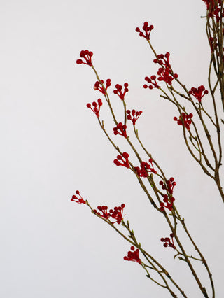 47" Tall Red Berry Stem