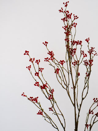 47" Tall Red Berry Stem