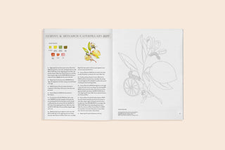 Watercolor Workbook | Flowers, Feathers, & Animal Friends