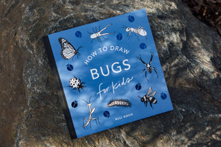 How to Draw Bugs for Kids | Butterflies, Bees, Ladybugs