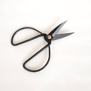 Plant Scissors