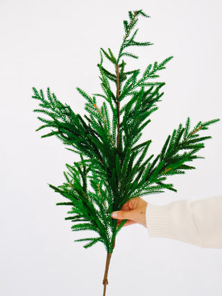 39" Norfolk Pine Spray