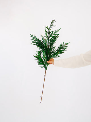 39" Norfolk Pine Spray