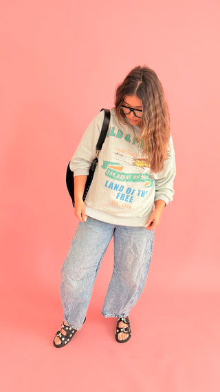 Wild and Free Graphic Pullover Sweater