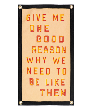 Give Me One Good Reason Why We Need To Be Like Them Camp Flag • Blink-182