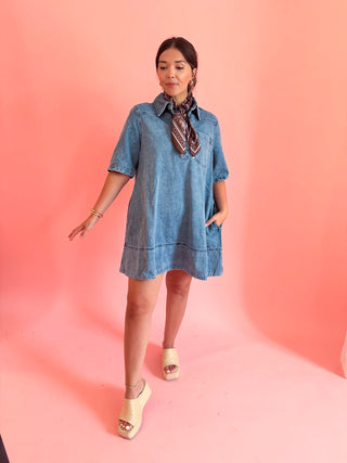 Collared Denim Shift Dress