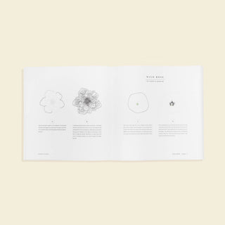Spiral Bound Florals By Hand: How to Draw Modern Floral Projects