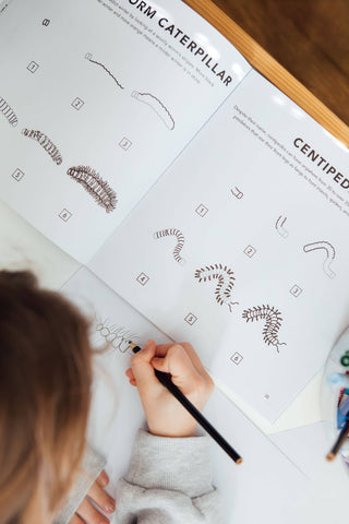 How to Draw Bugs for Kids | Butterflies, Bees, Ladybugs
