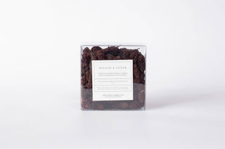 Balsam & Cedar Scented Pinecones