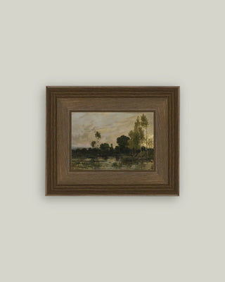 Adlers Framed Wall Art (more sizes)