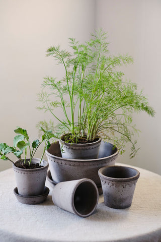 Københavner Bergs Plant Pot - Grey