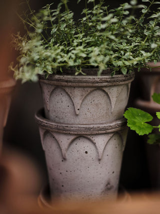 Elizabeth Bergs Plant Pot - Grey