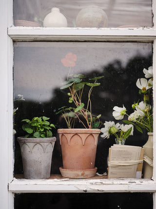 Elizabeth Bergs Plant Pot - Grey