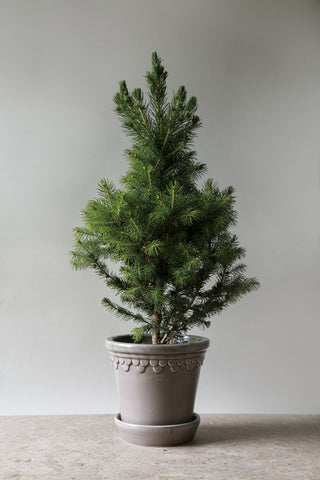 Københavner Bergs Plant Pot - Grey