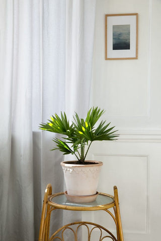 Københavner Bergs Plant Pot - Rosa