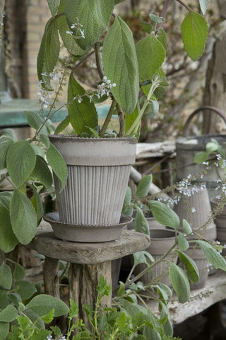 Simona Bergs Plant Pot - Grey
