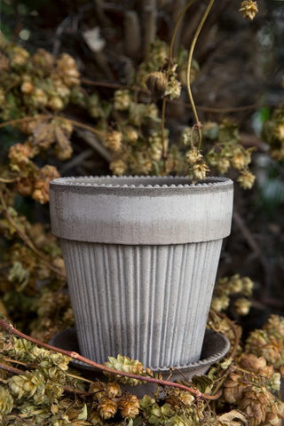 Simona Bergs Plant Pot - Grey