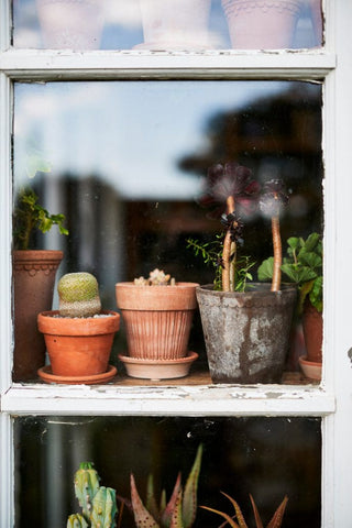 Simona Bergs Plant Pot - Rosa