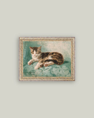 Whiskered Cat Framed Wall Art