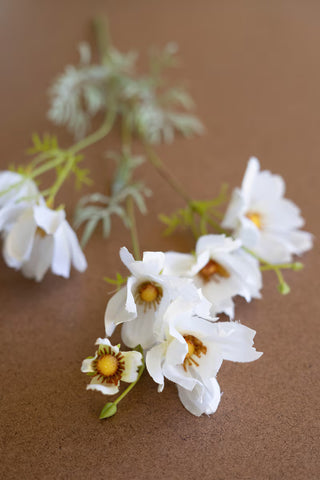 Faux White Cosmos Stem