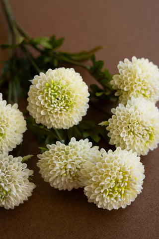 Faux Dahlia Bundle