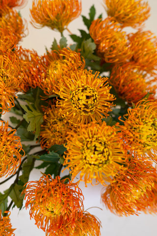 Faux Orange Pincushion Protea Bundle
