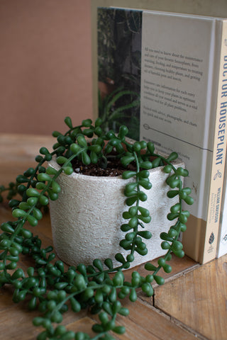 Concrete Bookend Planter Set