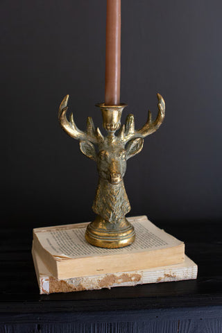 Buck Taper Holder