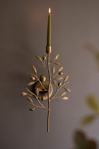 Fruit Tree Taper Wall Sconce *online exclusive*