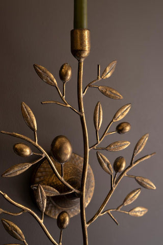 Fruit Tree Taper Wall Sconce *online exclusive*