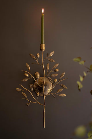 Fruit Tree Taper Wall Sconce *online exclusive*