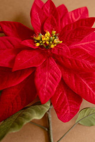 Faux Poinsettia Stem